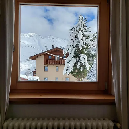 Zelda Livigno